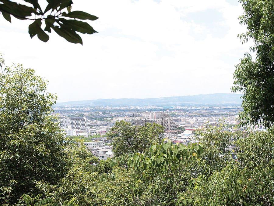 登山道からの眺め♪