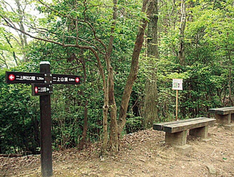 二上山駅コースとの分岐点