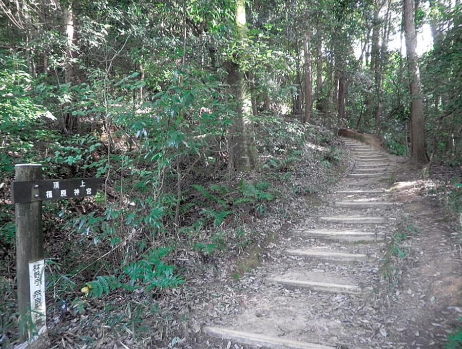 登山道